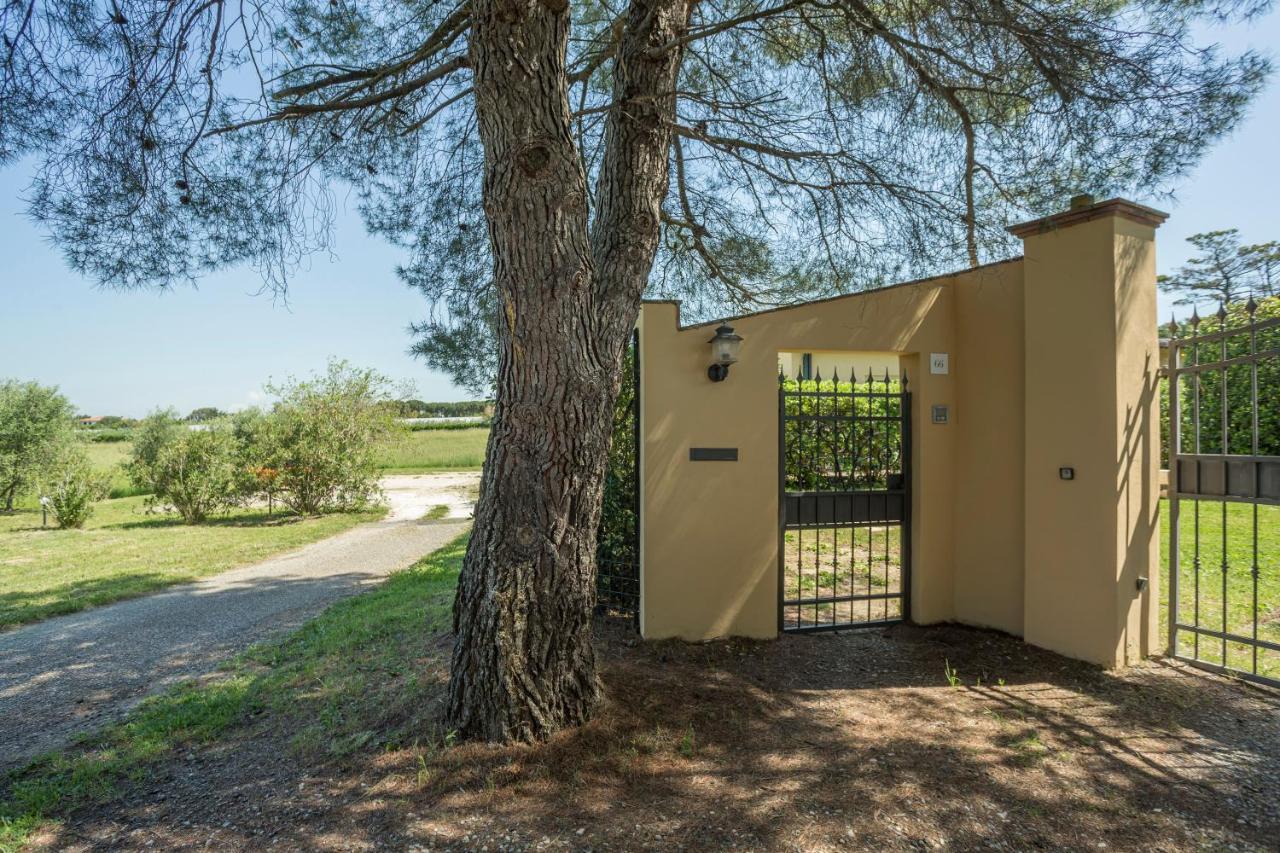 Podere Belvedere Livorno Dış mekan fotoğraf