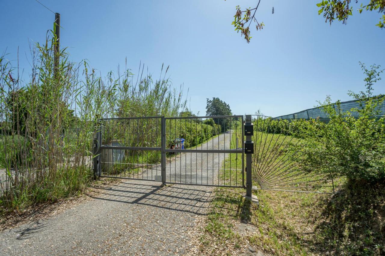 Podere Belvedere Livorno Dış mekan fotoğraf