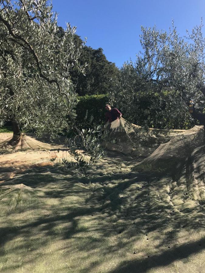 Podere Belvedere Livorno Dış mekan fotoğraf